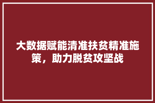 大数据赋能清准扶贫精准施策，助力脱贫攻坚战