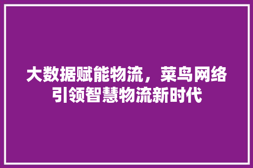 大数据赋能物流，菜鸟网络引领智慧物流新时代 编程语言