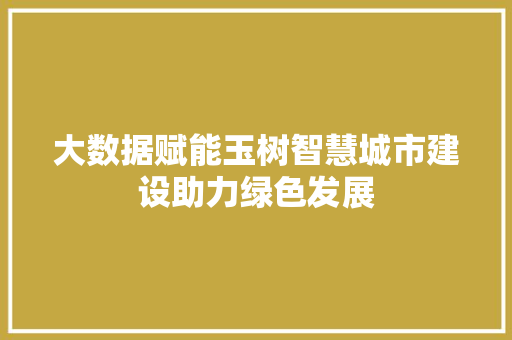 大数据赋能玉树智慧城市建设助力绿色发展 编程语言