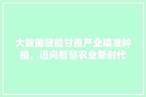大数据赋能甘蔗产业精准种植，迈向智慧农业新时代