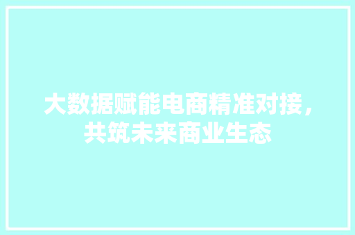 大数据赋能电商精准对接，共筑未来商业生态