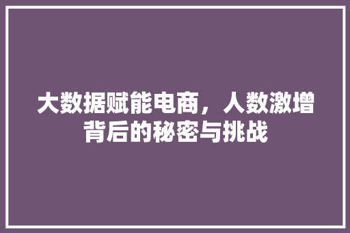 大数据赋能电商，人数激增背后的秘密与挑战