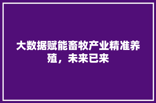 大数据赋能畜牧产业精准养殖，未来已来