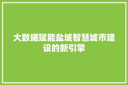 大数据赋能盐城智慧城市建设的新引擎