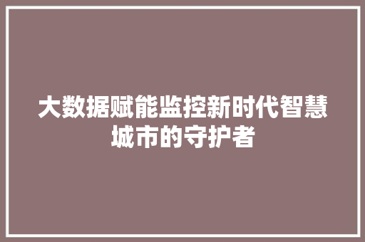 大数据赋能监控新时代智慧城市的守护者 网络技术