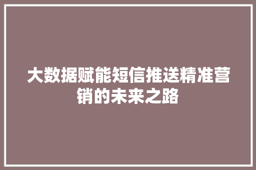 大数据赋能短信推送精准营销的未来之路