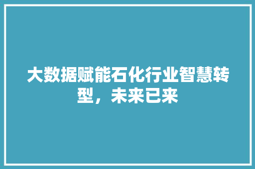 大数据赋能石化行业智慧转型，未来已来