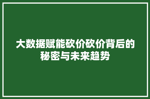 大数据赋能砍价砍价背后的秘密与未来趋势
