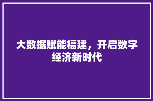 大数据赋能福建，开启数字经济新时代
