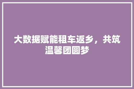 大数据赋能租车返乡，共筑温馨团圆梦