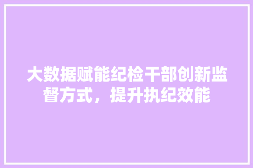大数据赋能纪检干部创新监督方式，提升执纪效能