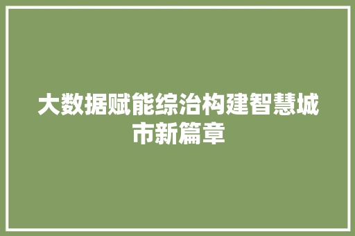大数据赋能综治构建智慧城市新篇章