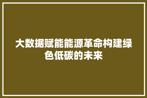 大数据赋能能源革命构建绿色低碳的未来