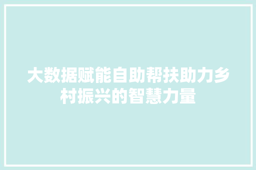 大数据赋能自助帮扶助力乡村振兴的智慧力量