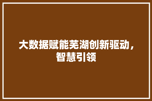 大数据赋能芜湖创新驱动，智慧引领