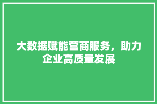 大数据赋能营商服务，助力企业高质量发展
