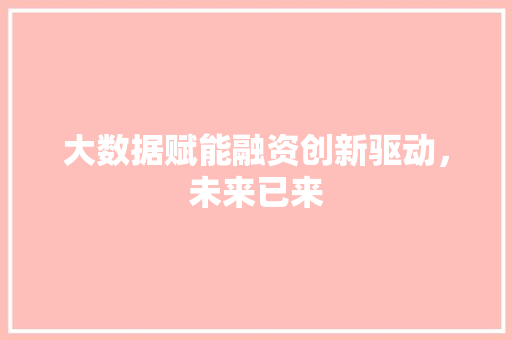 大数据赋能融资创新驱动,未来已来 大数据赋能融资创新驱动,未来已来