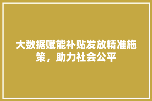 大数据赋能补贴发放精准施策,助力社会公平 大数据赋能补贴发放精准施策,助力社会公平
