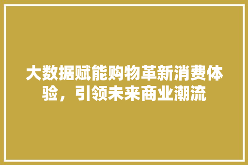 大数据赋能购物革新消费体验，引领未来商业潮流