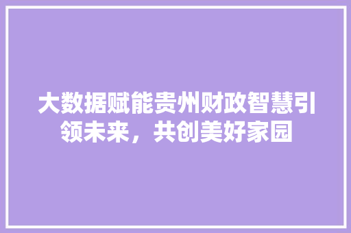大数据赋能贵州财政智慧引领未来，共创美好家园 操作系统