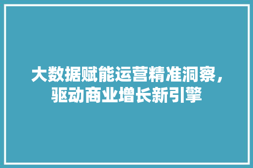 大数据赋能运营精准洞察，驱动商业增长新引擎 编程语言