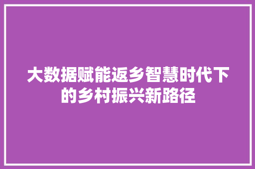 大数据赋能返乡智慧时代下的乡村振兴新路径 编程语言