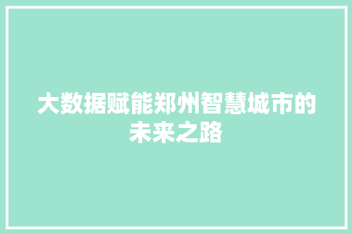 大数据赋能郑州智慧城市的未来之路