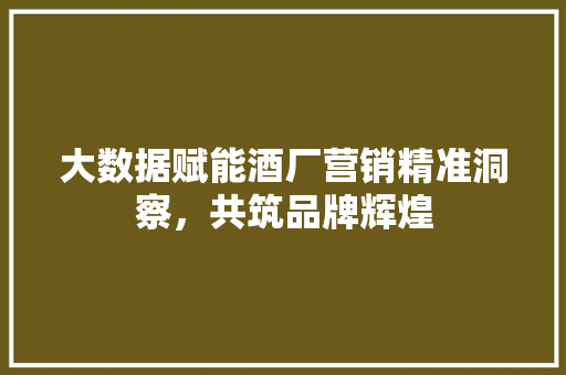 大数据赋能酒厂营销精准洞察，共筑品牌辉煌