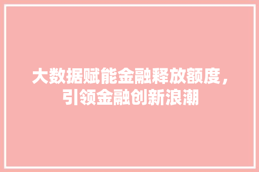 大数据赋能金融释放额度，引领金融创新浪潮 编程语言