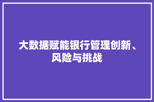 大数据赋能银行管理创新、风险与挑战