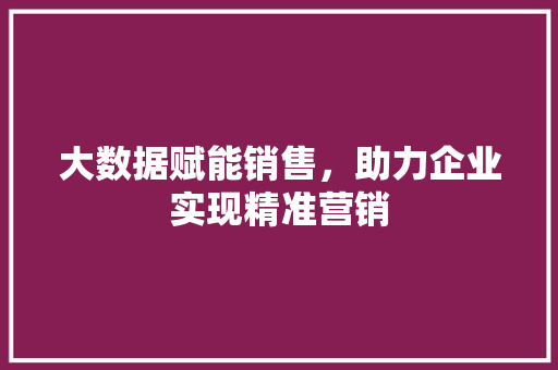 大数据赋能销售，助力企业实现精准营销
