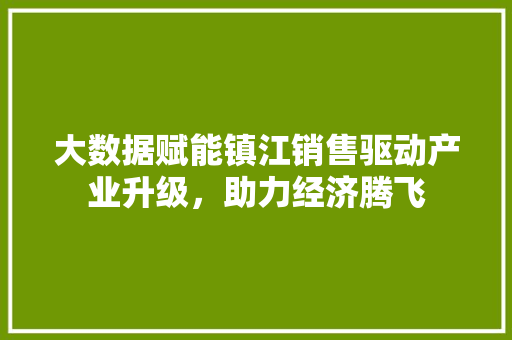 大数据赋能镇江销售驱动产业升级，助力经济腾飞
