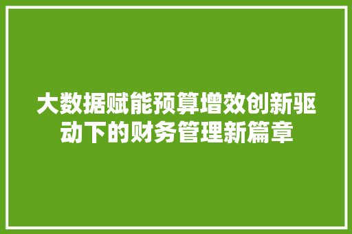 大数据赋能预算增效创新驱动下的财务管理新篇章