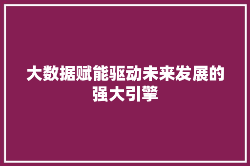 大数据赋能驱动未来发展的强大引擎