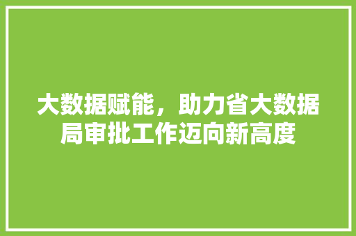 大数据赋能，助力省大数据局审批工作迈向新高度 编程语言