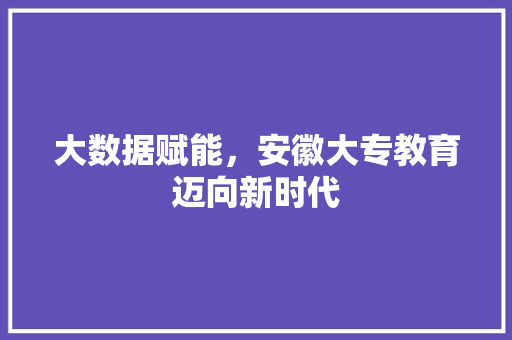 大数据赋能，安徽大专教育迈向新时代