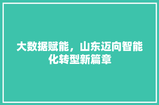 大数据赋能，山东迈向智能化转型新篇章