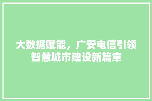 大数据赋能，广安电信引领智慧城市建设新篇章