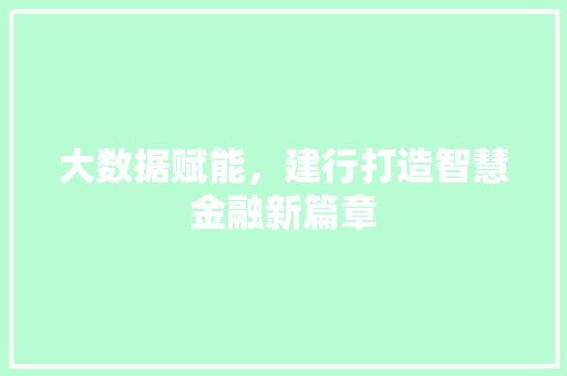 大数据赋能，建行打造智慧金融新篇章