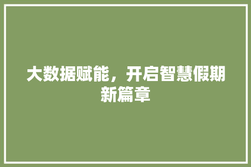 大数据赋能，开启智慧假期新篇章 编程语言