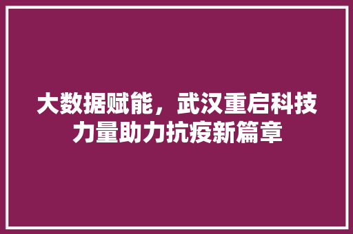 大数据赋能，武汉重启科技力量助力抗疫新篇章