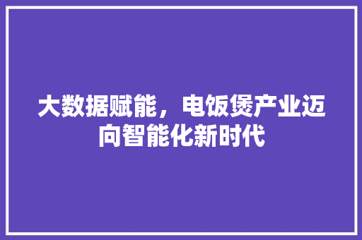 大数据赋能，电饭煲产业迈向智能化新时代