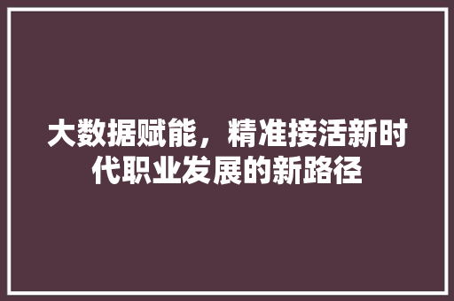 大数据赋能，精准接活新时代职业发展的新路径