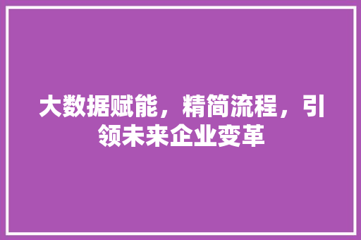 大数据赋能，精简流程，引领未来企业变革 网络技术