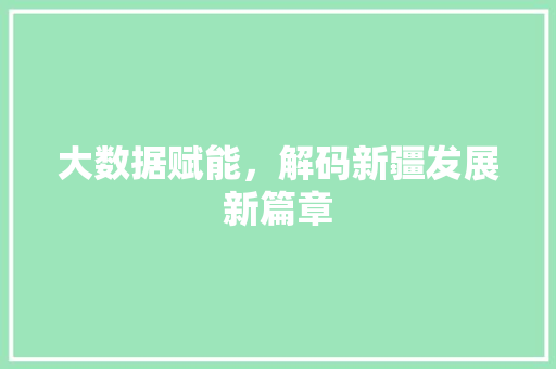 大数据赋能，解码新疆发展新篇章