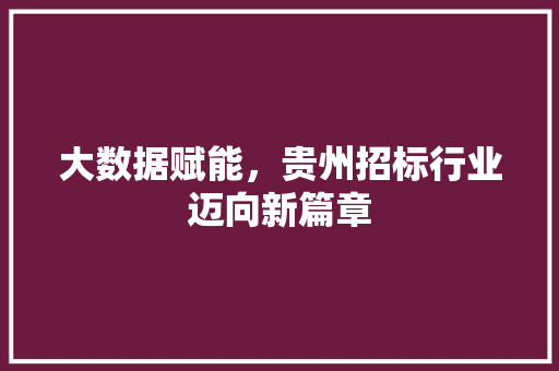 大数据赋能，贵州招标行业迈向新篇章