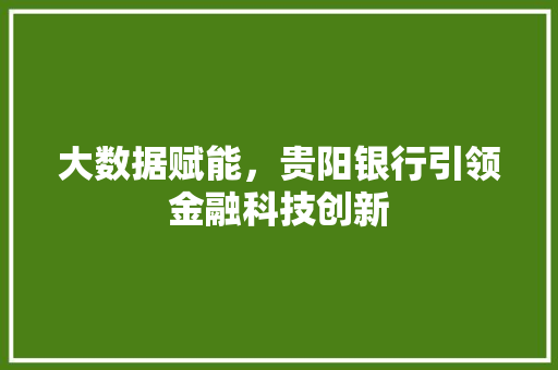 大数据赋能，贵阳银行引领金融科技创新