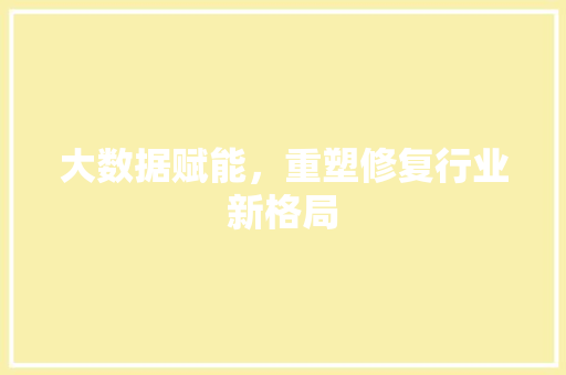 大数据赋能,重塑修复行业新格局 大数据赋能,重塑修复行业新格局