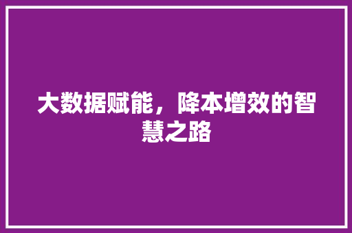 大数据赋能，降本增效的智慧之路 电脑配置