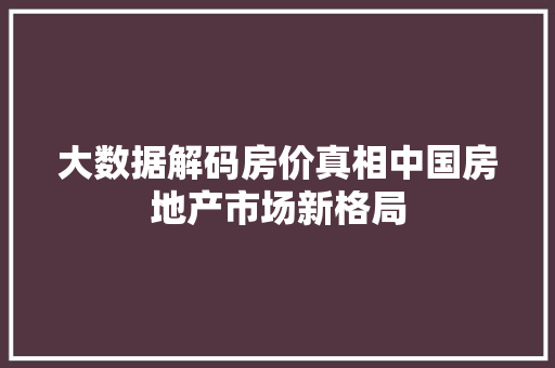大数据解码房价真相中国房地产市场新格局